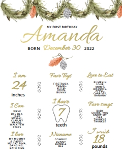 Winter Onederland Milestones Sign(16x20): Winter Onederland Milestones Sign(16x20)