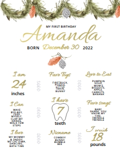 Winter Onederland Milestones Sign(16x20) design preview