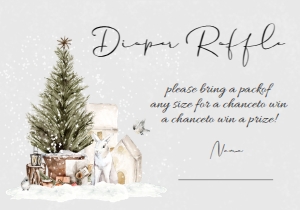 Winter Baby Shower Invitation Set(Diaper Raffle): Winter Baby Shower Invitation Set