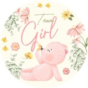 Teddy Bear Gender Reveal Stickers Gil: Teddy Bear Gender Reveal Stickers Boy