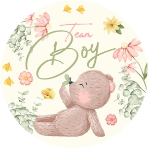 Teddy Bear Gender Reveal Stickers Boy: Teddy Bear Gender Reveal Stickers Boy