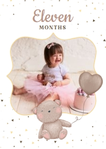 Teddy Bear Monthly Photo Banner design preview