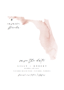 Lily Florida Plain Save The Date design preview