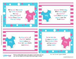Gender reveal scavenger hunt pink: Gender reveal scavenger hunt pink