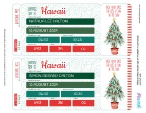 Christmas tropical tickets: Christmas beach reveal
