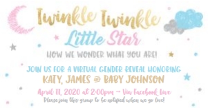 twinkle twinkle virtual gender reveal-white design preview
