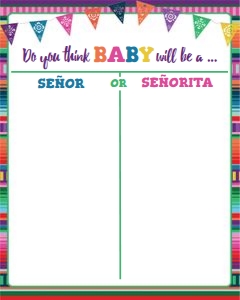 fiesta gender reveal-banners-senor senorita-voting poster-editable design preview