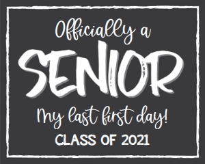 officially a senior-simple design preview