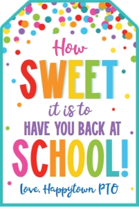 how sweet it is to have you back at school-confetti-teal design preview