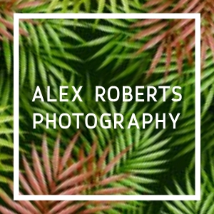 Leaf Background Social design preview