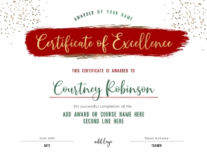 Certificate of Completion Holiday Theme 8.5x11" A732: Certificate of Completion Holiday Theme A732