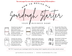 Sourdough Starter Reviving Guide Watercolor B652: Sourdough Starter Reviving Guide Watercolor B652