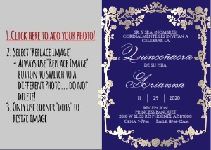 Quince- Blue/Silver Rose design preview