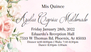 White/Pink/Gold Quince- Dance passes: White/Pink/Gold Quince- Dance passes