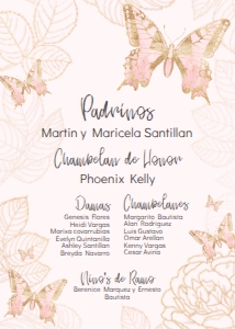 Pink and Gold Butterfly Quinceanera- Padrinos list design preview