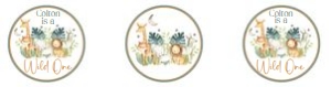 Wild one cupcake toppers: Wild one cupcake toppers