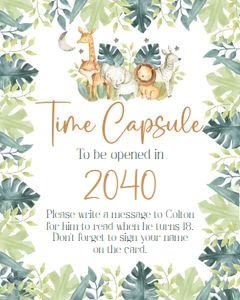 Wild one time capsule design preview
