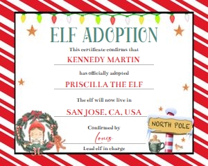 Girl elf adoption 10x8 design preview