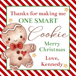 One smart cookie gingerbread Christmas tag 3x3 design preview