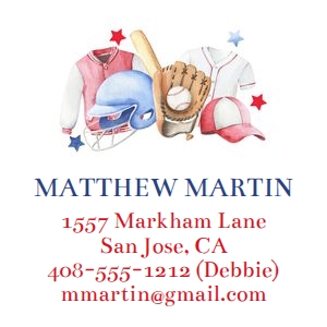 Sports baseball calling card 3x3 design preview