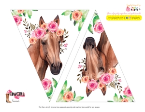 Cowgirl Horse Banner Deco: Cowgirl Horse Party Kit