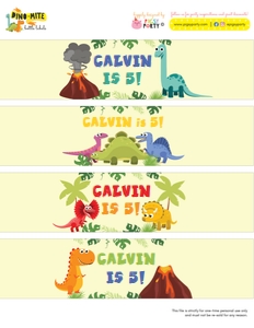 Dinosaurs Bottle Wrappers design preview