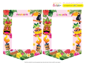 Luau Photo Banner: Luau Ultimate Bundle Kit