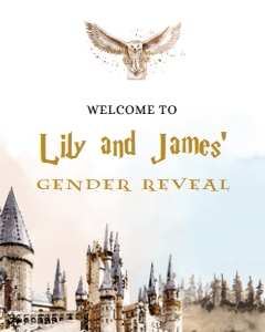 Witch or Wizard Gender Reveal Welcome Sign, Magic School Gender Reveal Party Decor Template, He Or She, Boy Or Girl, Magical Bundle, GR009 design preview