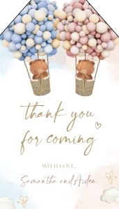 GR007_TAG-THANK YOU-WITH SHAPE: Teddy Bears Gender Reveal Thank You For Coming Gift Tag, Hot Air Balloon Gender Reveal Party Favor, He Or She, Baby Boy Or Girl Game, GR007