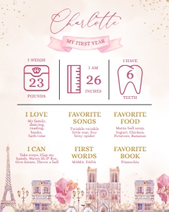 Paris First Birthday Milestone Poster, EDITABLE Birthday Sign Template, Baby's 1st Birthday, Parisian Cafe, Eiffel Tower, Instant Download design preview