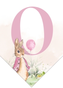 Peter Rabbit 1st Birthday High Chair Banner, Editable Rustic Bunny Banner Template, Flopsy Bunny, Pink Girl First Birthday, Instant Download design preview