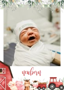Farm Birthday Photo Banner Template, Editable Baby 1st Year Monthly Milestone Cards, Printable Photo Garland, Instant Download, Barn, KP082 design preview