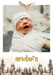 Wizard Birthday Photo Banner Template, Editable Magic Baby 1st Year Monthly Milestone Cards, Printable Photo Garland Instant Download, KP069 design preview
