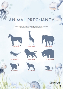 BS139_A-Baby Shower Games-Answer Key: EDITABLE 80 Under The Sea Baby Shower Games, Ocean Animals Game Bundle, Nautical Games Set, Blue Boy Baby Sprinkle, Instant Download, BS139