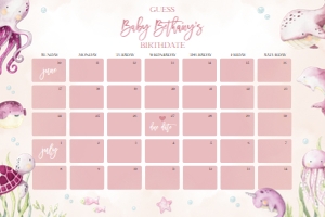 BS139-B-021-Guess Baby’s Due Date-20 by 30 inches: Under the Sea Baby Shower Bundle, EDITABLE Ocean Animals Baby Shower Invite, Nautical Baby Shower Games, Pink Girl, Instant Download, BS139