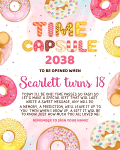 Donut Time Capsule design preview
