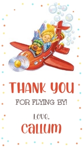 Plane Thank You Tag (2" x 3.5"): Plane Invitations