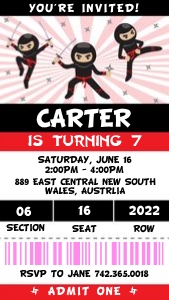 Ninja Ticket design preview