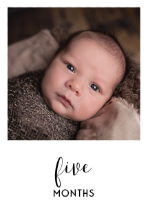 5x7 White Photo Banner - (5) Five: Basic Birthday Bundle
