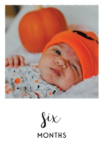 5x7 White Photo Banner - (6) Six: Basic Birthday Bundle