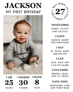 16x20 Photo Milestone Board 2: Basic Birthday Bundle