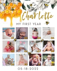 Bee 16x20 Photo Bee Milestone Board: Bee 16x20 Photo Bee Milestone Board