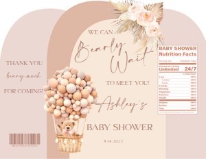 Boho Blush Teddy Bear Chip Bag design preview