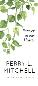 Fern Simple One Page Funeral Program Template: Fern Simple One Page Funeral Program Template