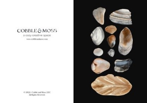 cardEveryday - BrokenSeashellsandPebbles design preview