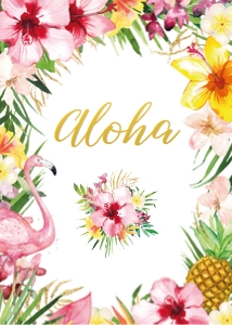 tropical flamingo - sign welcome 5x7: tropical flamingo - signs