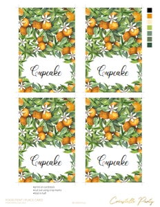 orange - decors - 05 food label: orange - decors