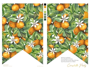 orange - decors - 03 banner: orange - decors