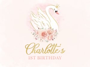 swan blush - backdrop 2 - 160x120cm: swan blush - backdrop 2