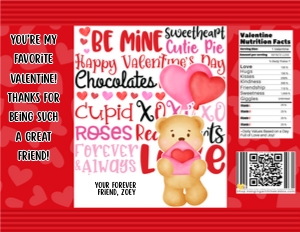 Teddy Bear Valentine Chip Bag: Teddy Bear Valentine Chip Bag